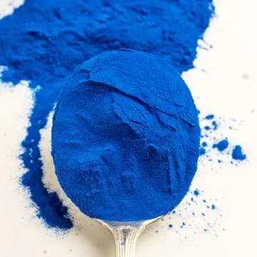 Spiruline bleue