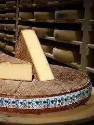 Comté jeune