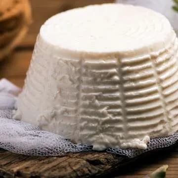 Ricotta