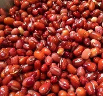 Haricots azuki