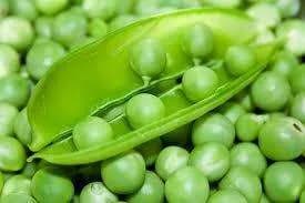 Pois maraîchers