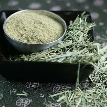 Citronnelle