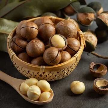 Macadamia